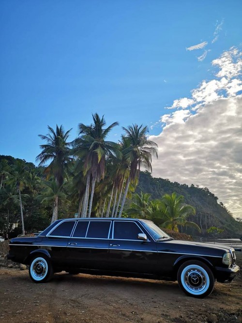 PALM TREE JACO BEACH LIMOUSINE COSTA RICA