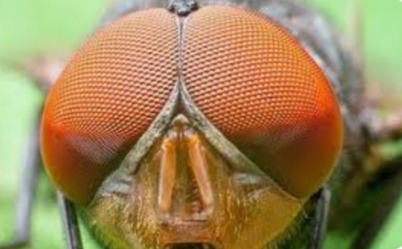 20250823_172441.jpg